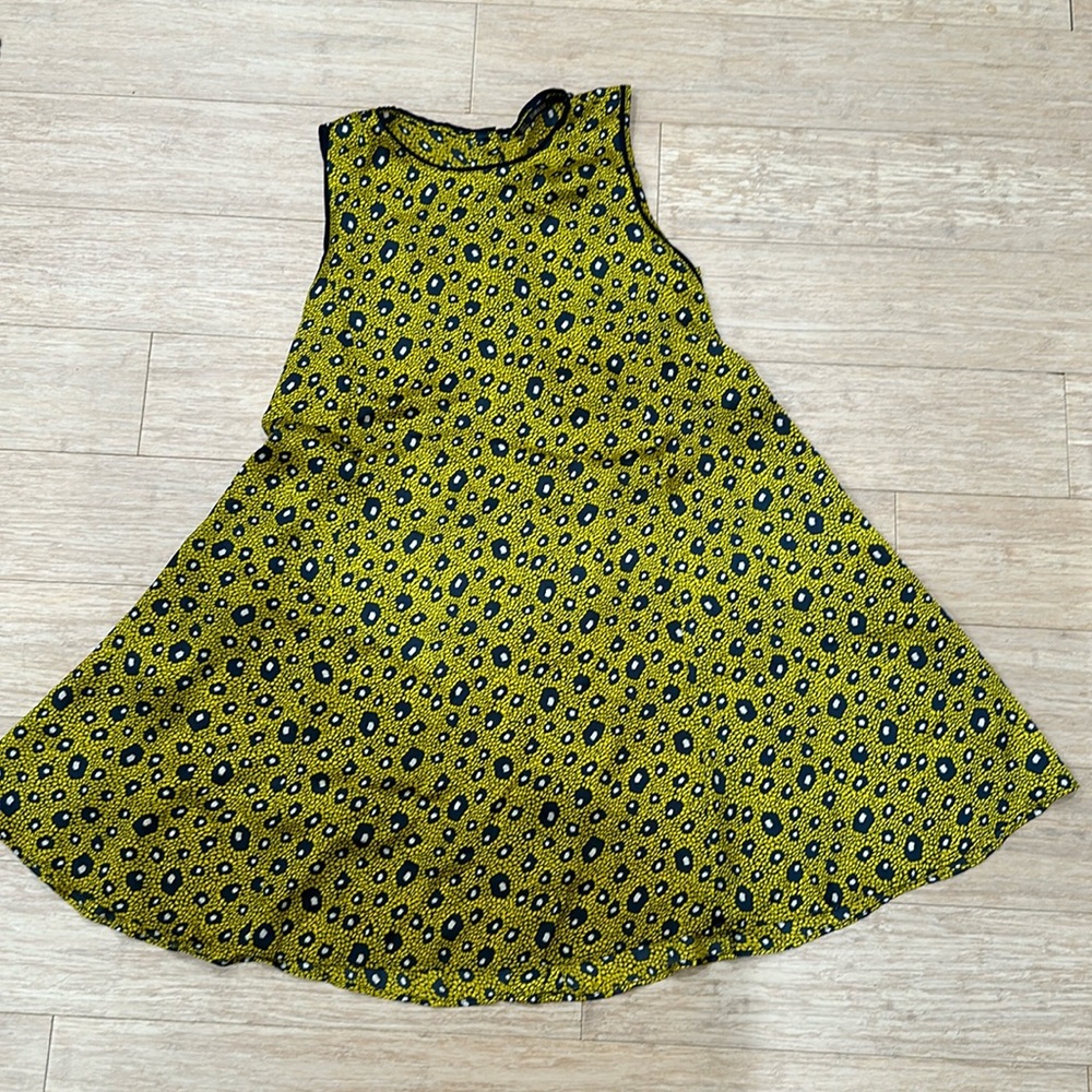 Zara dress